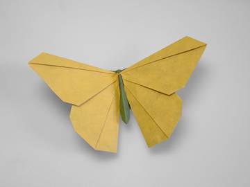 origamido butterfly
