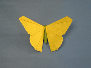 Origamido Butterfly