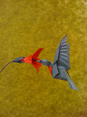 Ruby-Throated Hummingbird