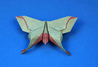 Mudarri Luna Moth