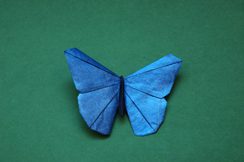 Origamido Butterfly