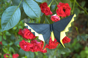A Butterfly for Robert Lang