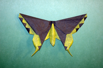 Alexander Aztec Swallowtail