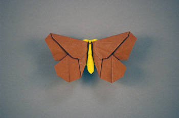 LaFosse Moth