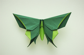 A Butterfly for Makoto Yamaguchi