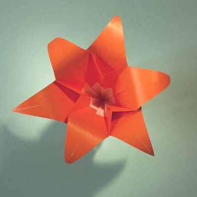 Modular Six-Piece Day Lily