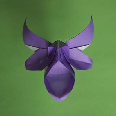 Lafosse & Alexander's Origami Flowers Kit: Lifelike Paper Flowers to  Brighten Up Your Life: Kit with Origami Book, 180 Origami Papers, 20  Projects & D (Other)