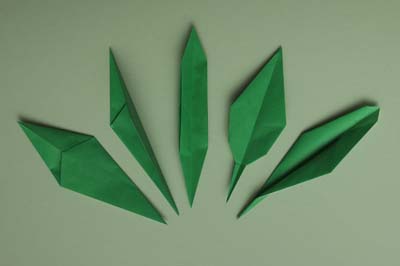 Lily Leaf
