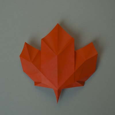 Maple Leaf