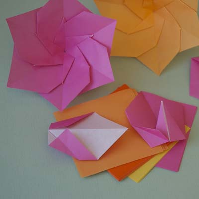 Lafosse & Alexander's Origami Flowers Kit: Lifelike Paper Flowers to  Brighten Up Your Life: Kit with Origami Book, 180 Origami Papers, 20  Projects & D (Other)